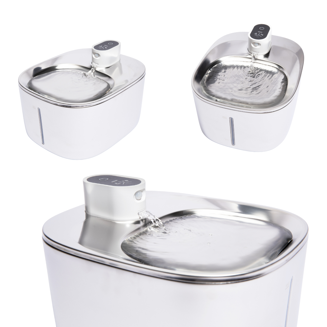 KatzenBrunn – Frisches, fließendes Wasser für gesunde Katzen